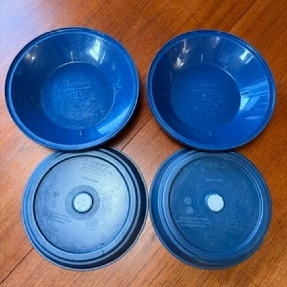 TWO Dinex Carlisle Turnbury Insulated Domes & Plates Meal Warmer Catering USA